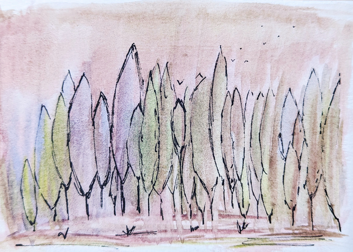 Dream Trees Digital