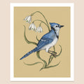 Jessica Roux: Bluejay and Snowflake