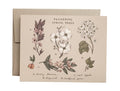 Jessica Roux Greeting Card: Flowering Spring Trees