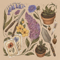 Jessica Roux: Spring Gardening