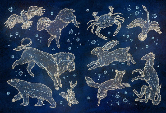 The Collector's Curio: A Sticker Treasury