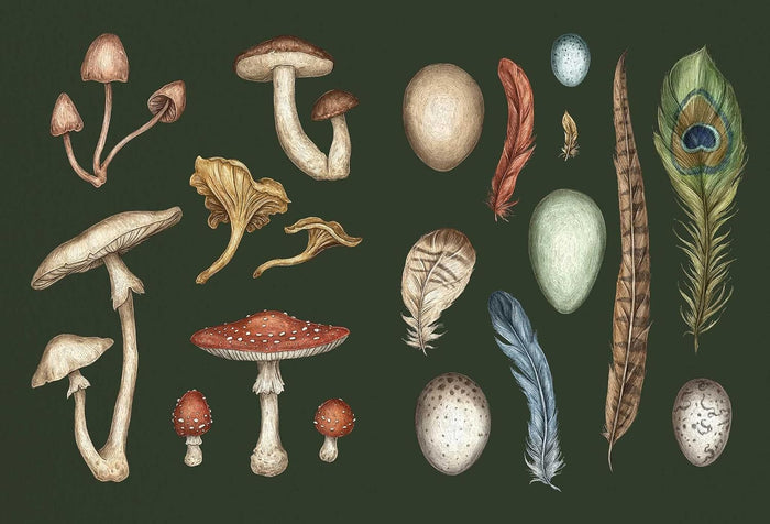 The Collector's Curio: A Sticker Treasury